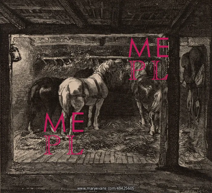 : Pit ponies in their underground stable in a coal mine : Pit ponies in their underground stable in a coal mine