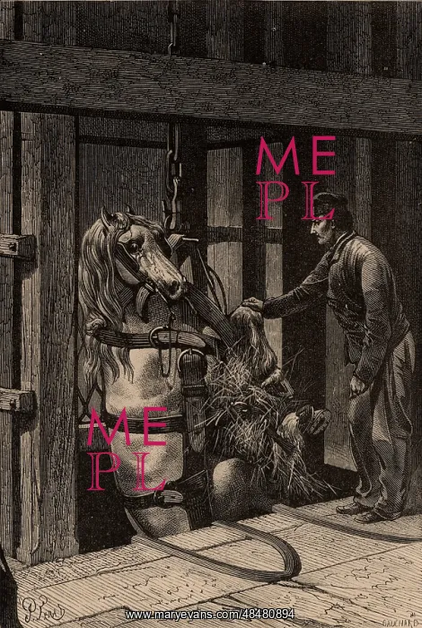 : A pit pony being lowered down a mine shaft in : A pit pony being lowered down a mine shaft in