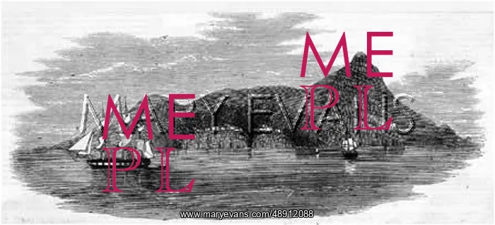 : PITCAIRN ISLAND 1856 : PITCAIRN ISLAND 1856