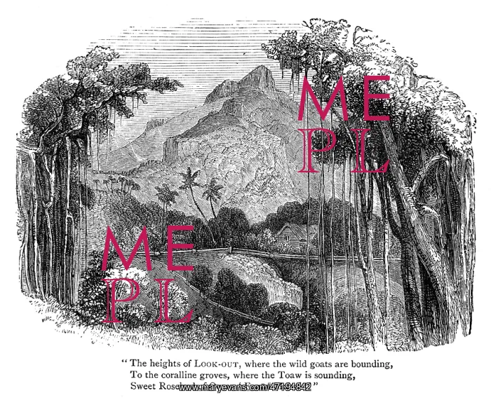  : Pitcairn Island, Mutiny on the Bounty