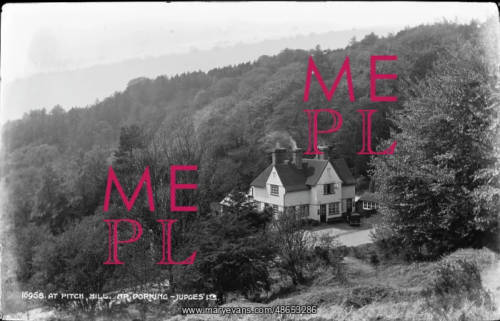 : At Pitch Hill, Dorking : At Pitch Hill, Dorking