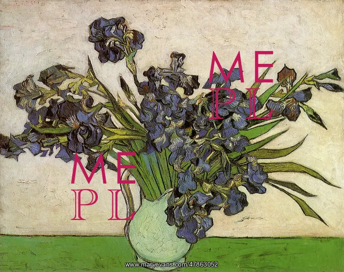 : Pitcher of Irises, by Van Gogh : Pitcher of Irises, by Van Gogh