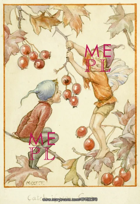 : Two pixies on branches with red berries : Two pixies on branches with red berries