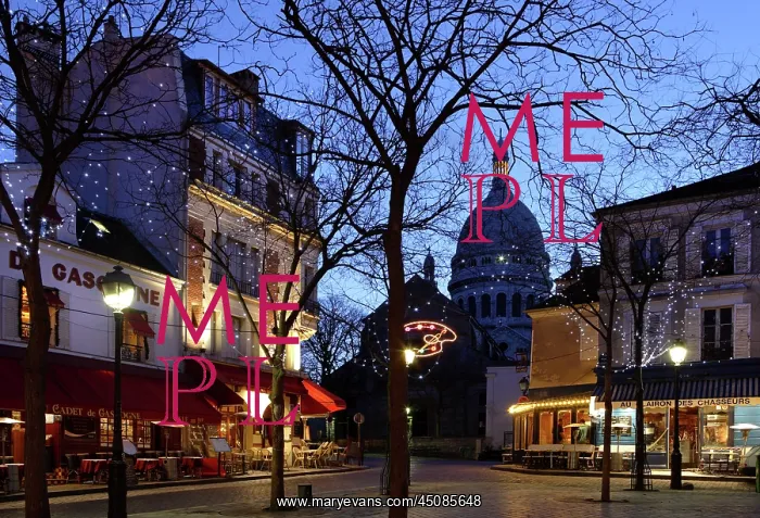 : Place du Tertre, France : Place du Tertre, France