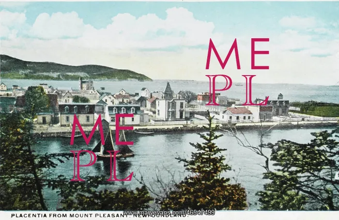 : Placentia from Mount Pleasant, Newfoundland : Placentia from Mount Pleasant, Newfoundland