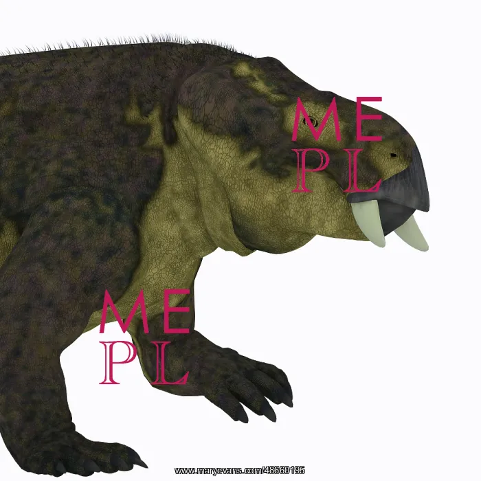 : Placerias dinosaur portrait : Placerias dinosaur portrait