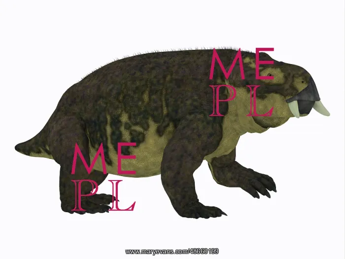 : Placerias dinosaur, side profile : Placerias dinosaur, side profile