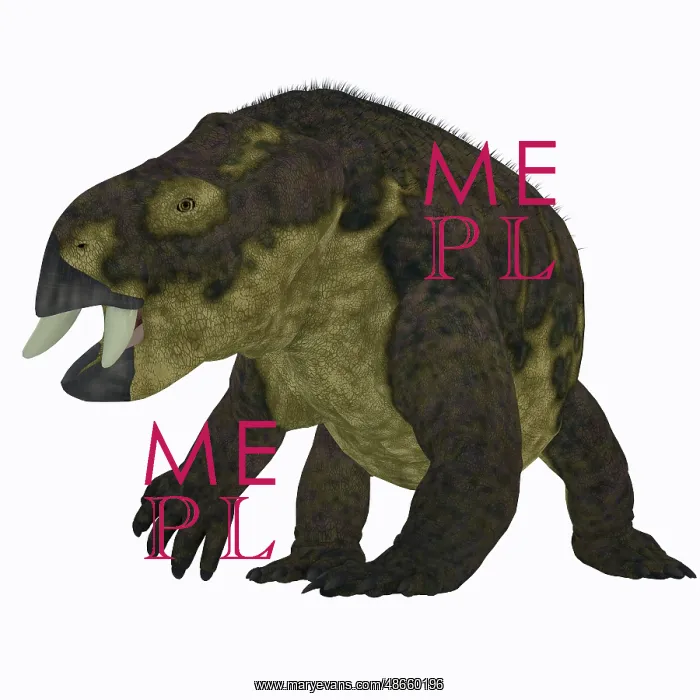 : Placerias dinosaur, front view : Placerias dinosaur, front view