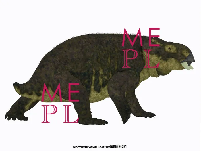 : Placerias dinosaur on white background : Placerias dinosaur on white background
