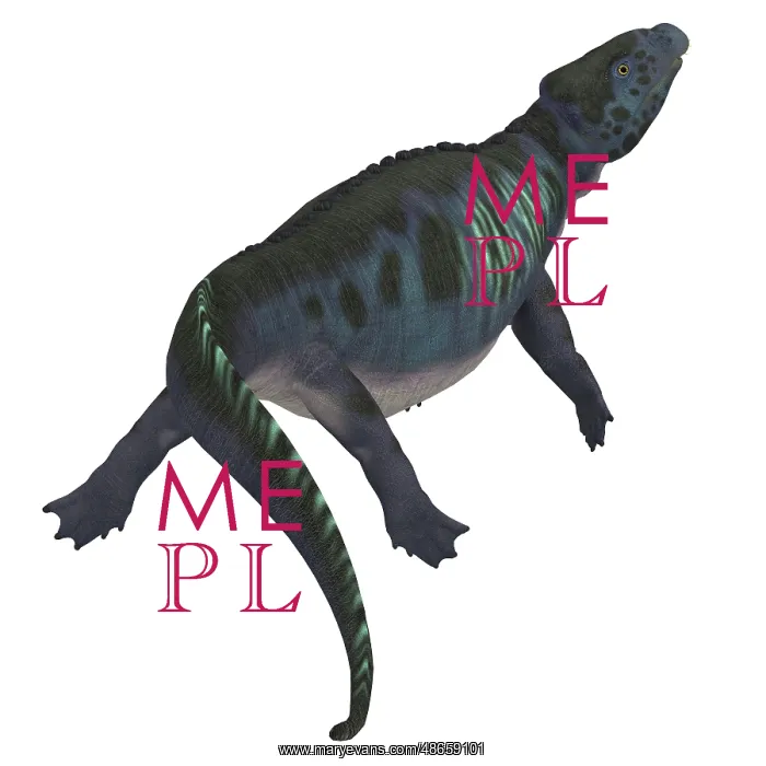 : Placodus aquatic reptile : Placodus aquatic reptile