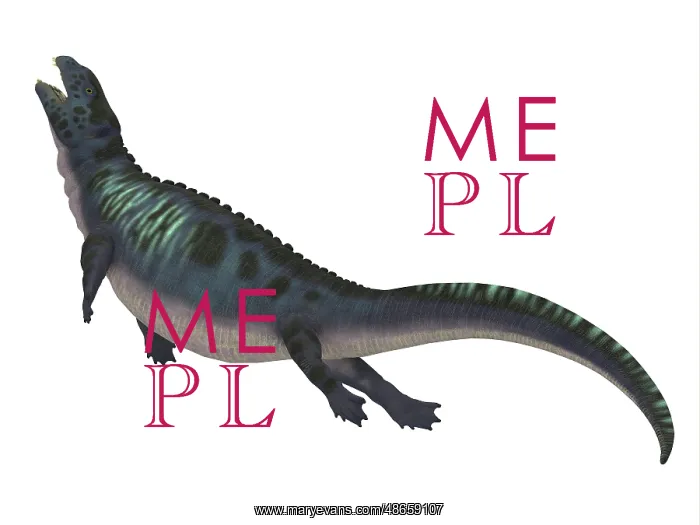 : Placodus aquatic reptile, side profile : Placodus aquatic reptile, side profile