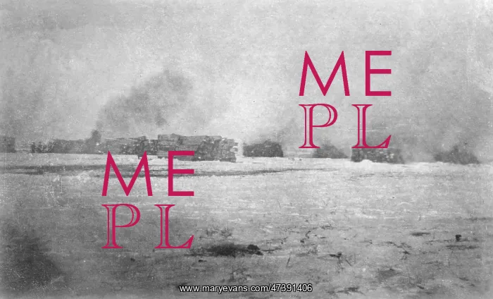 : PLAGUE IN CHINA 1911 2 : PLAGUE IN CHINA 1911 2