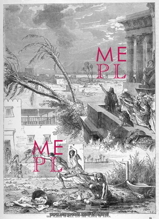 : PLAGUE OF FROGS : PLAGUE OF FROGS