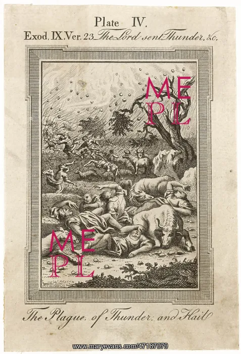 : THE PLAGUE OF HAIL : THE PLAGUE OF HAIL