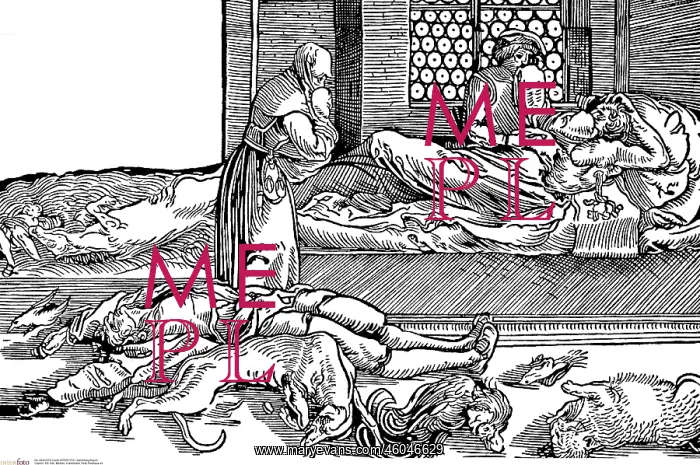: Plague House : Plague House