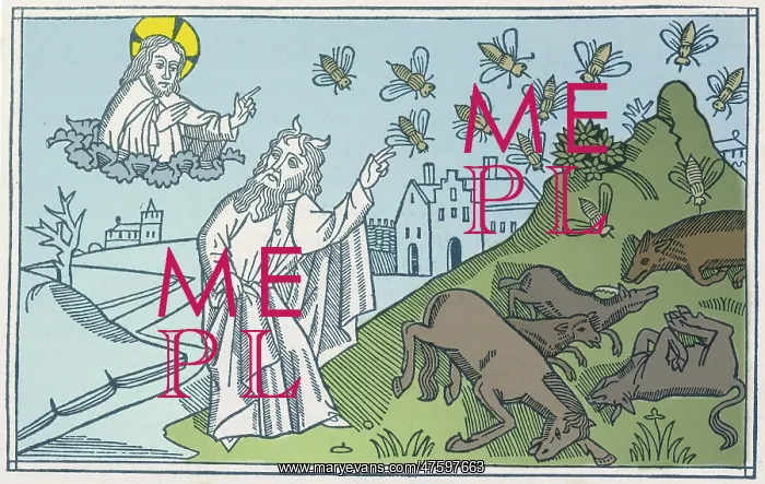 : Plague, Old Testament : Plague, Old Testament