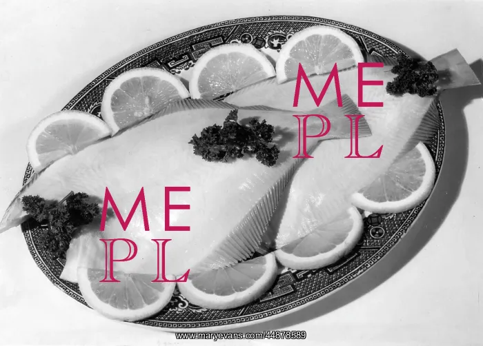 : PLAICE AND LEMON : PLAICE AND LEMON