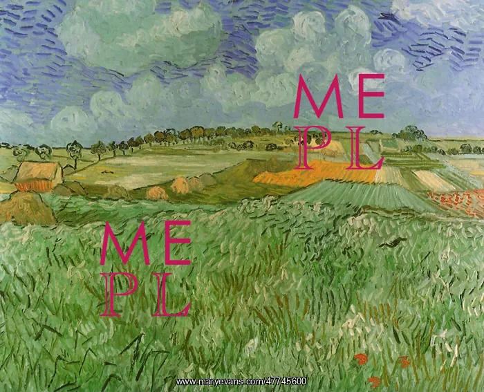  : Plain near Auvers, by Van Gogh