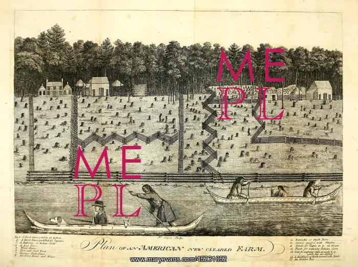 : Plan of an American New Cleared Farm. Detailed ? : Plan of an American New Cleared Farm. Detailed ?