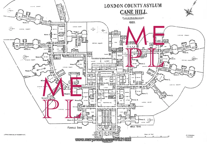 : Plan of Cane Hill Asylum - Hospital : Plan of Cane Hill Asylum - Hospital