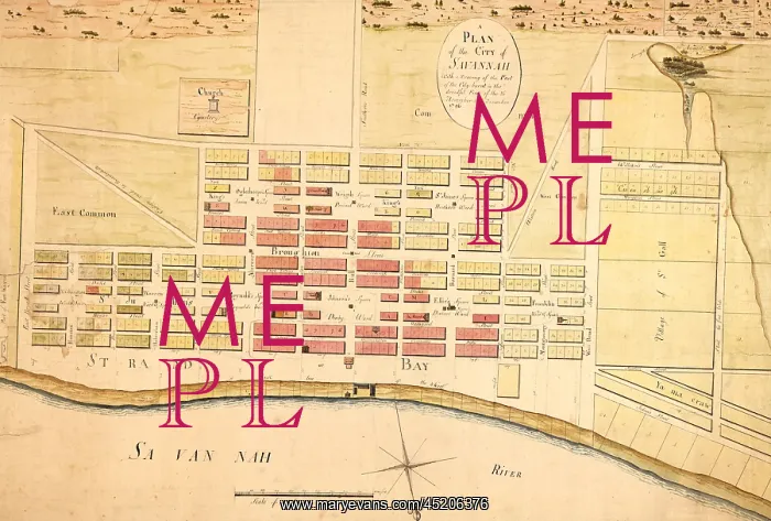 : A plan of the city of Savannah : with a ? : A plan of the city of Savannah : with a ?