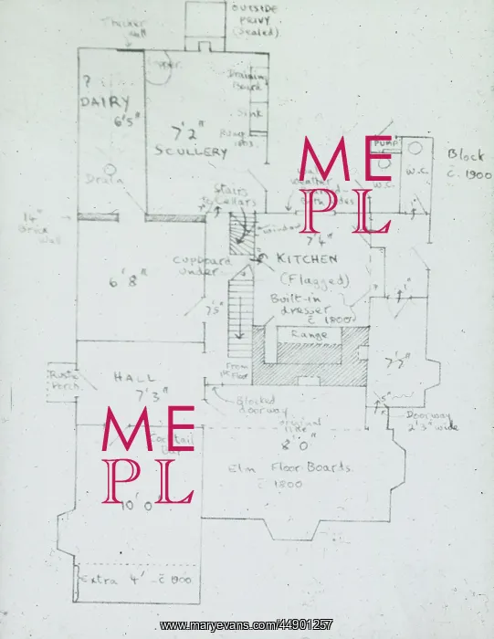 : Plan of frog pool : Plan of frog pool