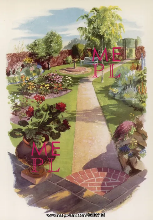 : Plan for a garden, 1954 : Plan for a garden, 1954