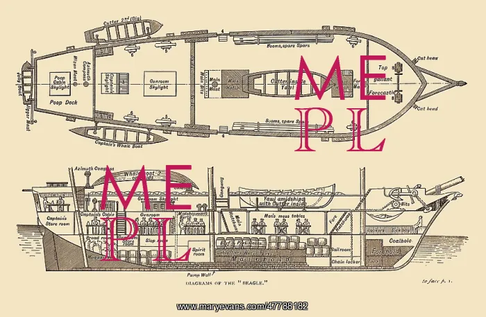 : Plan of the HMS Beagle, 1832 : Plan of the HMS Beagle, 1832