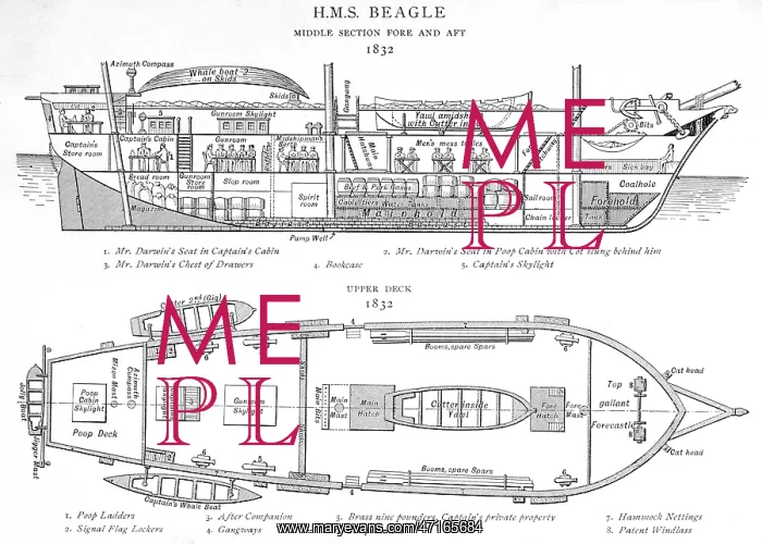 : Plan of the HMS Beagle research ship of Charles Darwin : Plan of the HMS Beagle research ship of Charles Darwin
