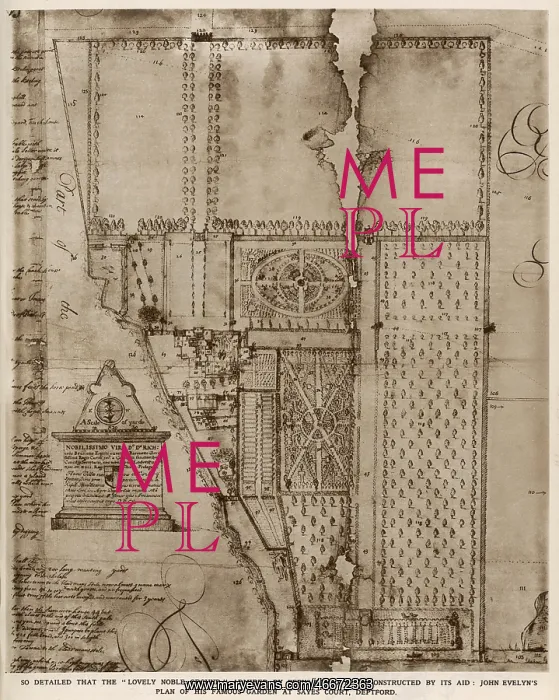 : Plan of John Evelyn's garden : Plan of John Evelyn's garden