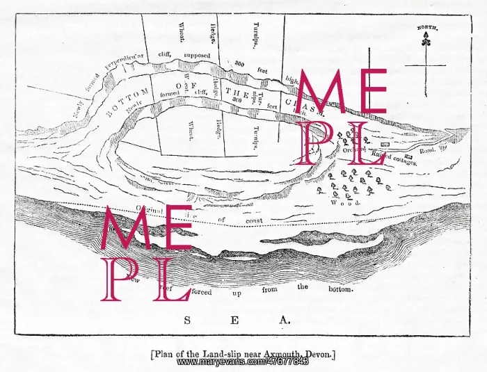 : Plan of landslide near Axmouth, Devon : Plan of landslide near Axmouth, Devon
