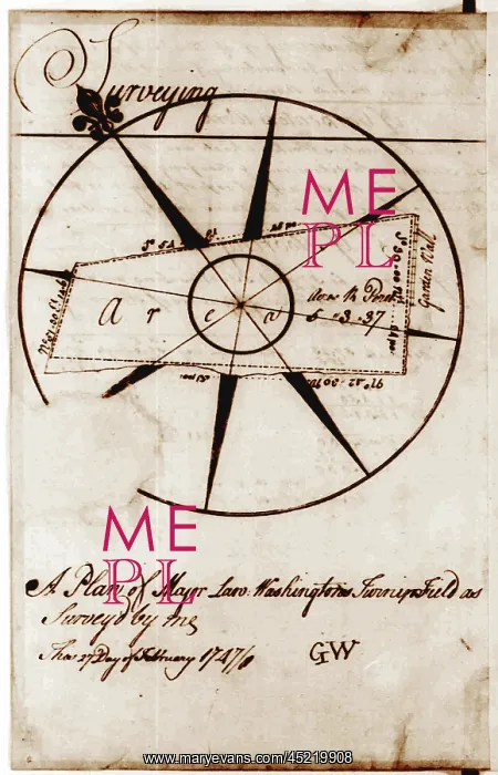 : A plan of Major Lawrence Washington's turnip ? : A plan of Major Lawrence Washington's turnip ?