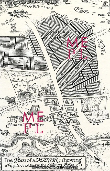 : Plan of a manor house and common fields : Plan of a manor house and common fields