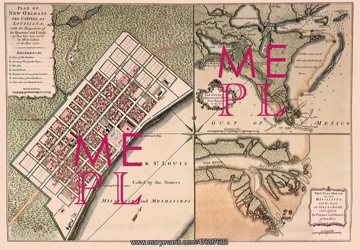 : Plan of New Orleans, 1769 : Plan of New Orleans, 1769