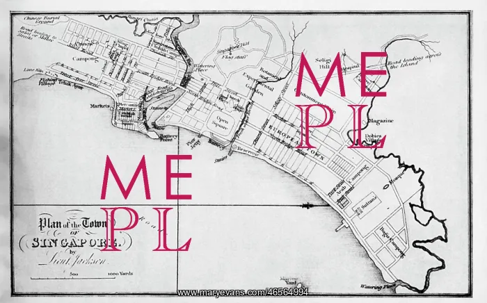 : Plan of the town of Singapore : Plan of the town of Singapore