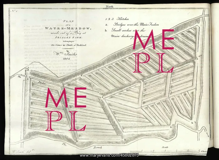 : Plan of a Water-Meadow made out of a Bog : Plan of a Water-Meadow made out of a Bog