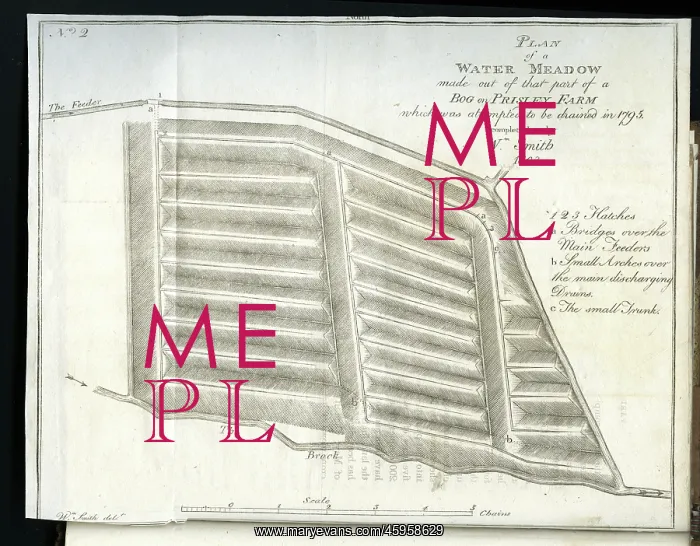 : Plan of a Water-Meadow made out of part of a Bog : Plan of a Water-Meadow made out of part of a Bog