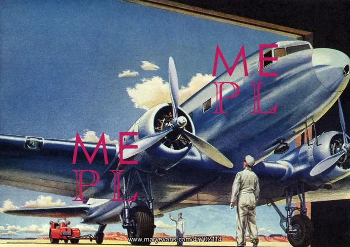  : Plane Entering Hangar