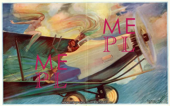  : Plane of Fancy by Howard Elcock