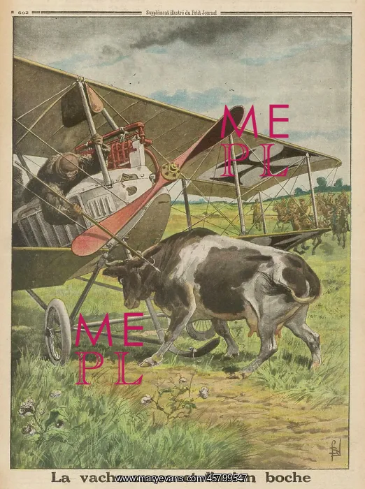 : PLANE MEETS COW : PLANE MEETS COW