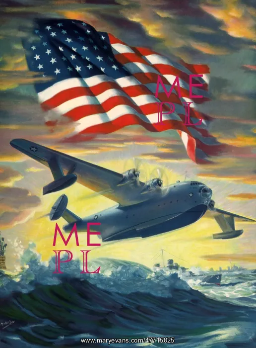 : Plane Over Sea, Flag : Plane Over Sea, Flag