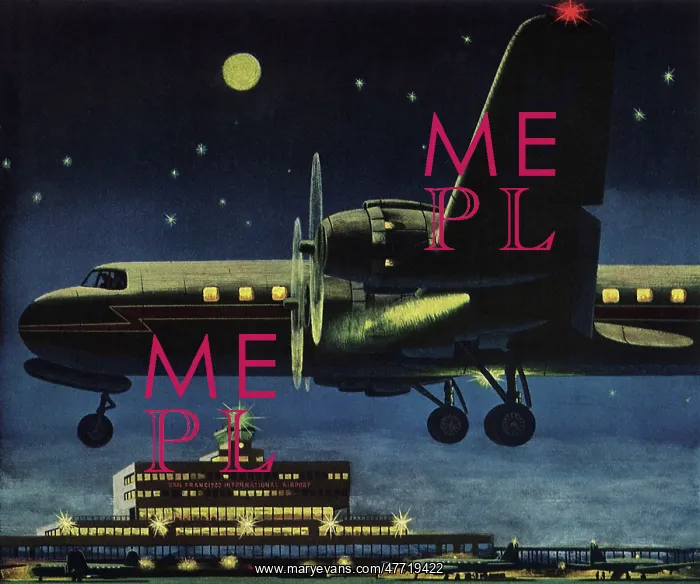  : Plane at Take-Off