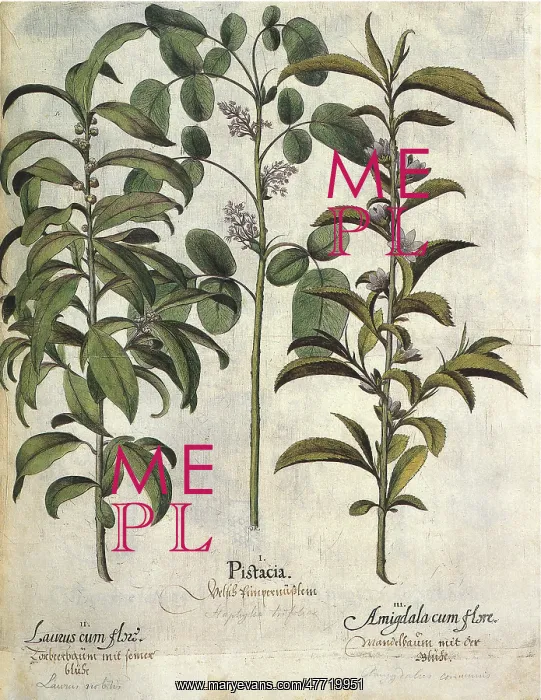  : Plant Botanicals