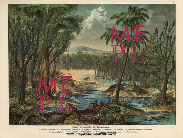 : Plant landscape of the Permian : Plant landscape of the Permian