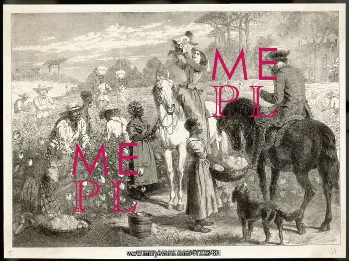 : ON A PLANTATION : ON A PLANTATION