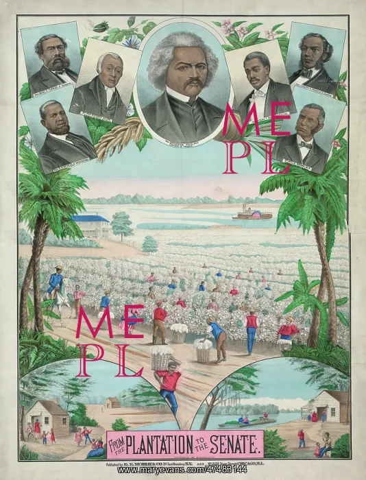 : From the plantation to the Senate : From the plantation to the Senate