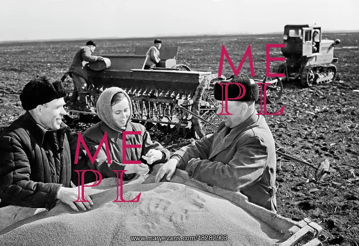 : Planting. Krasnodar Krai. THE USSR. March 30, 1959 : Planting. Krasnodar Krai. THE USSR. March 30, 1959