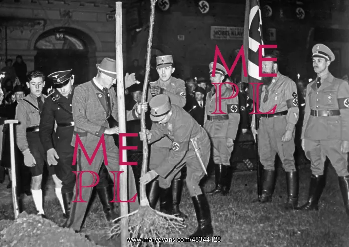 : Planting of a Hitler oak, 1938 : Planting of a Hitler oak, 1938