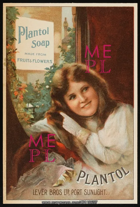: PLANTOL SOAP : PLANTOL SOAP