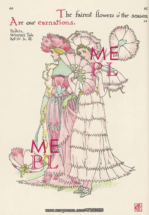 : Plants - Dianthus